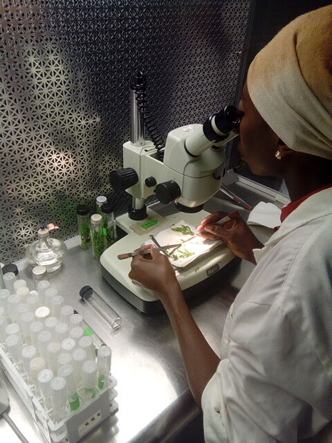 lab tech