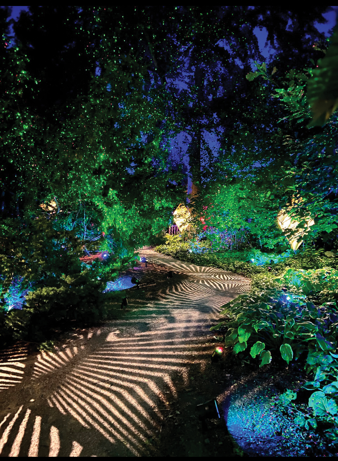 “The Nature of Light” sold out every night during its month-long preview period, welcoming a record 11,500 visitors.