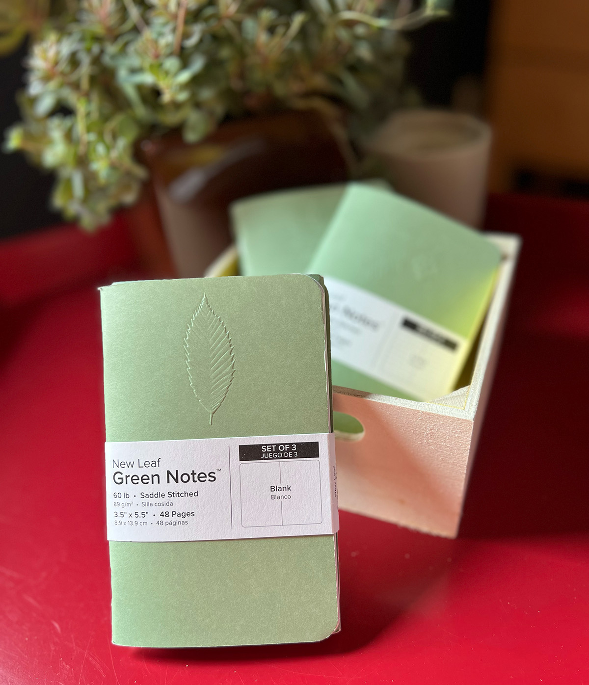 HOME_Green Notes_chestnut_beauty_1846.jpg