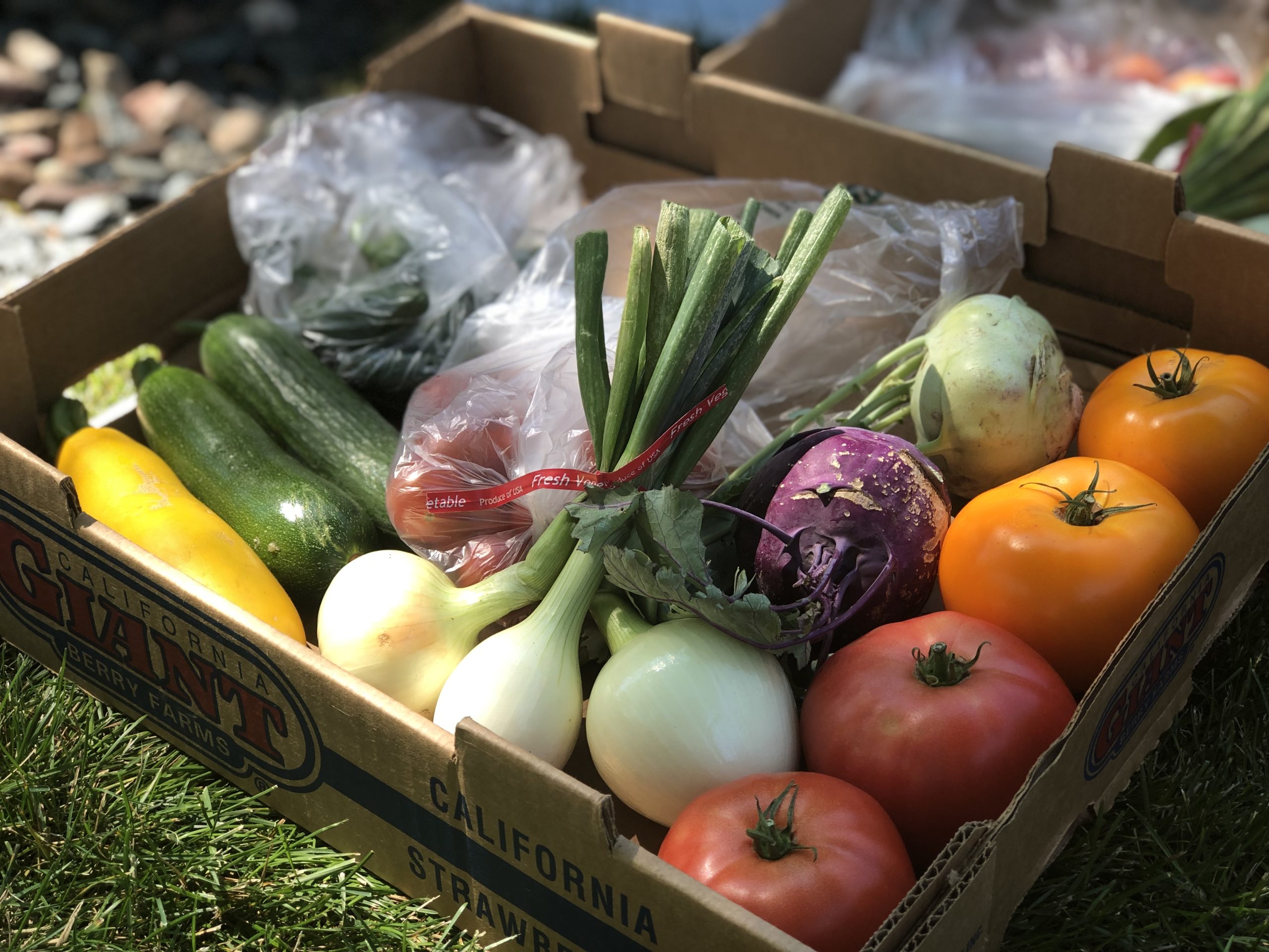Wello Seasonal Harvest Produce Box.jpg