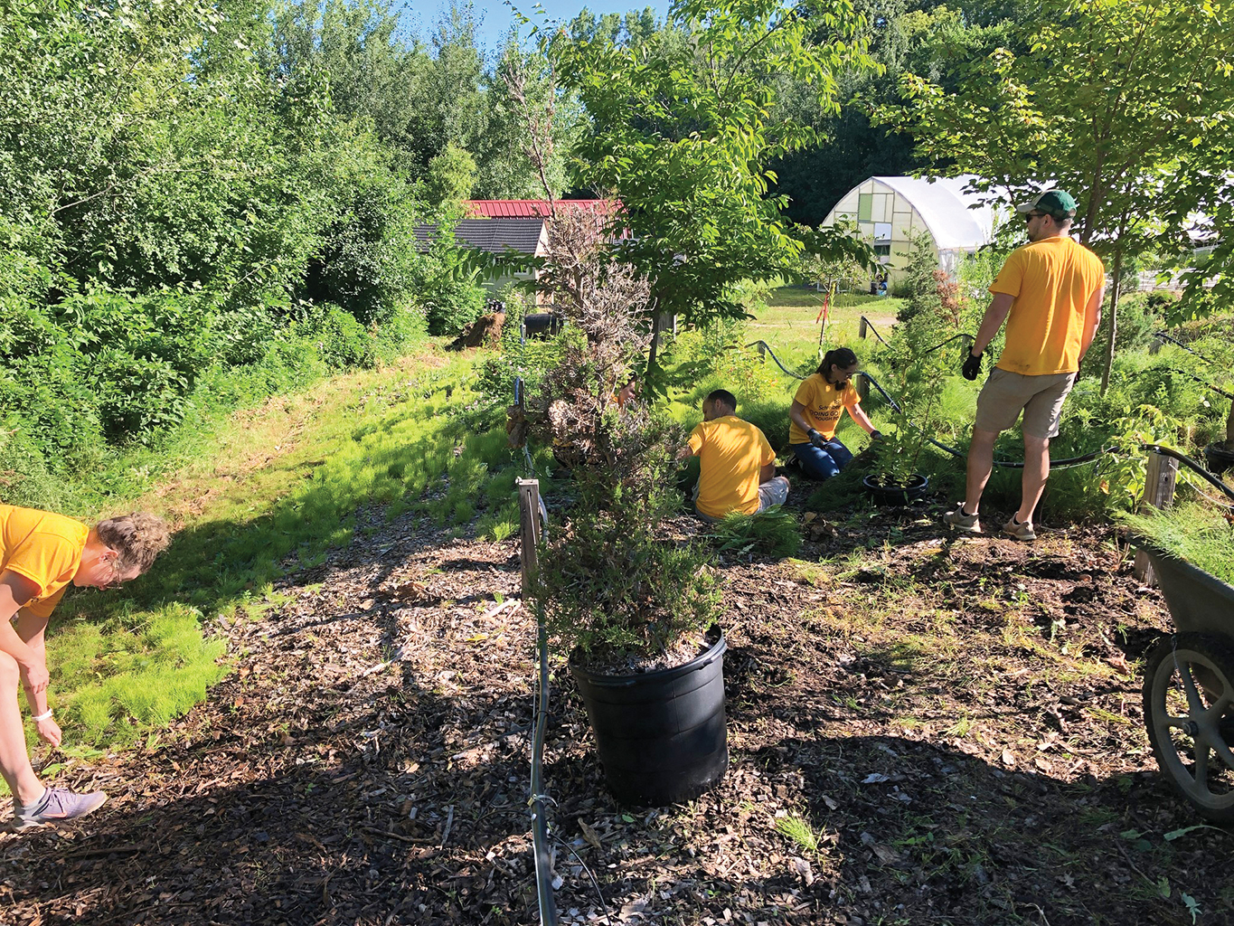 Volunteers weed and cultivate the NWTC Bounty Garden, a 2.5-acre urban farm on the grounds of the Green Bay Botanical Garden.