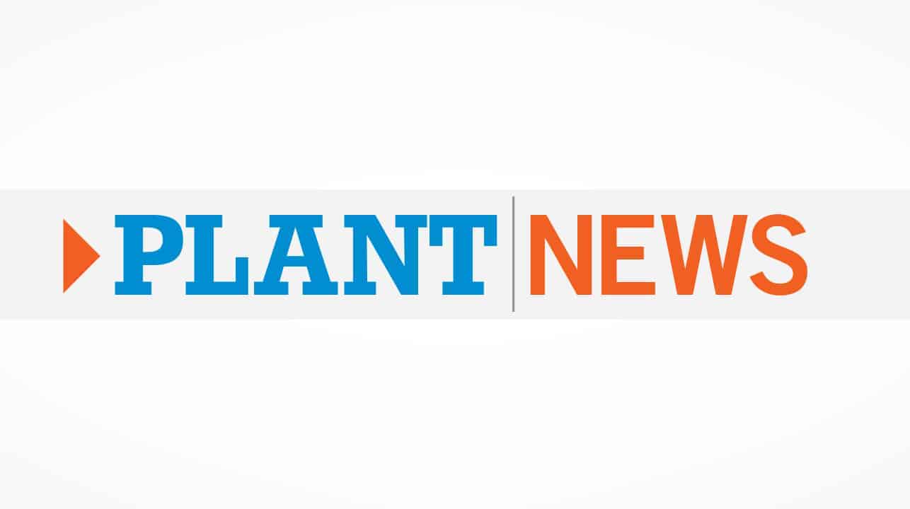 Plant News Blank