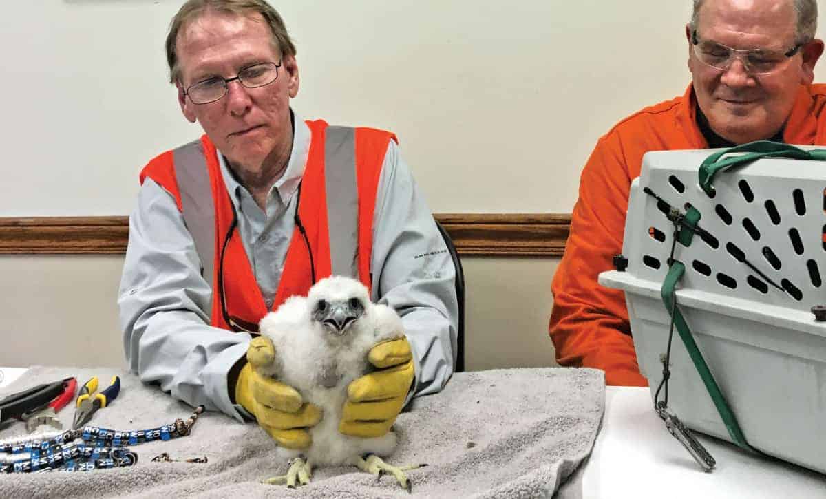 0009 0919 IOM Plant News