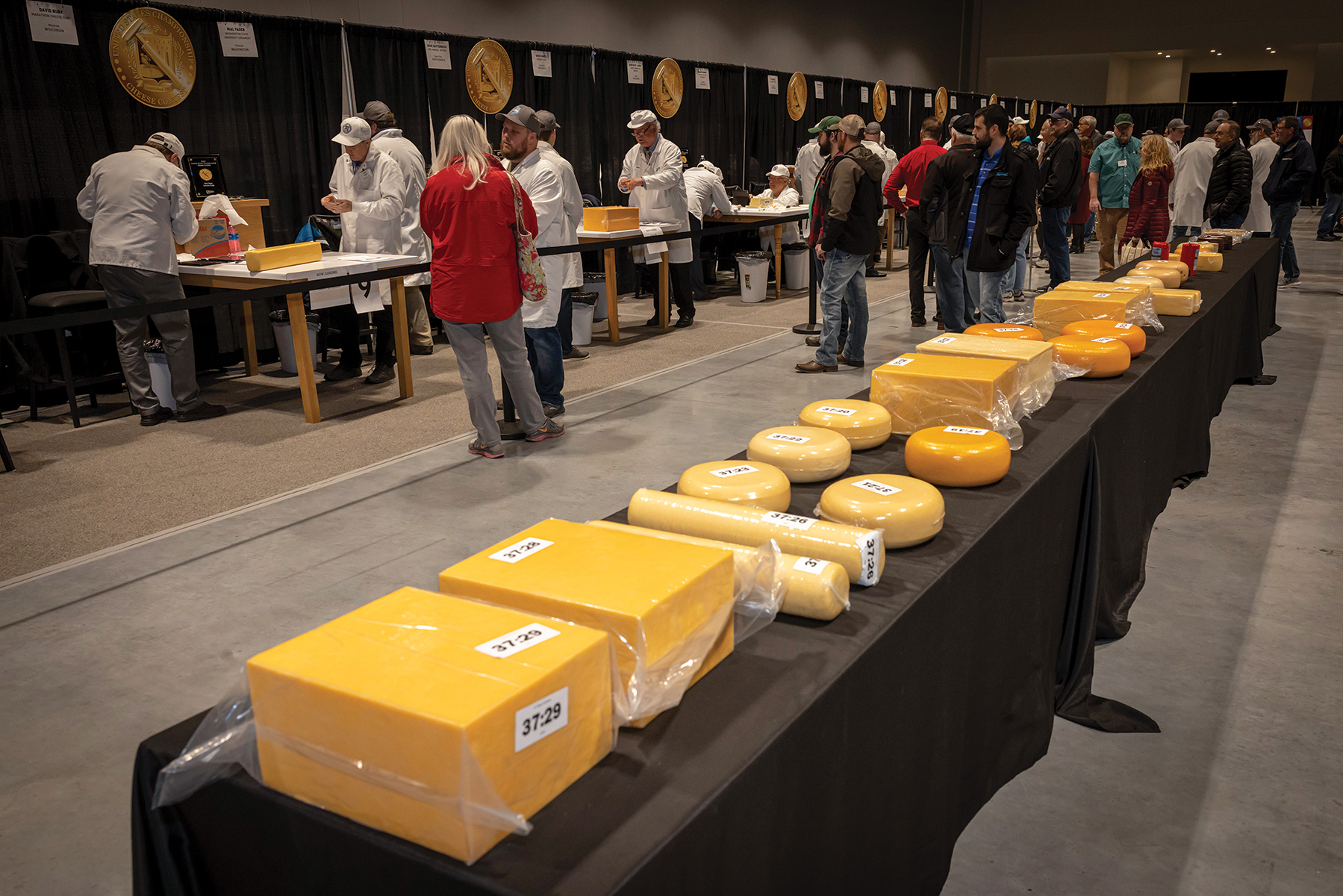 The Wisconsin Cheese Makers Association hosts U.S. and World Cheese Championship events in alternating years. The organization has been hosting cheese competitions in the state since 1893. Wisconsin cheeses regularly capture the most awards.