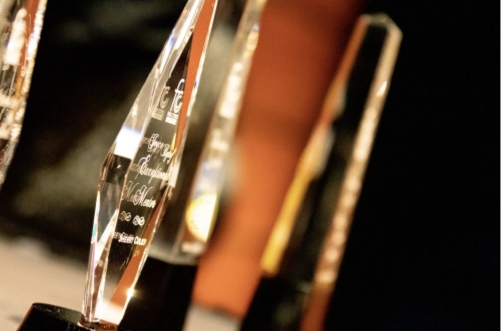 Fox Cities Chamber business awards generic