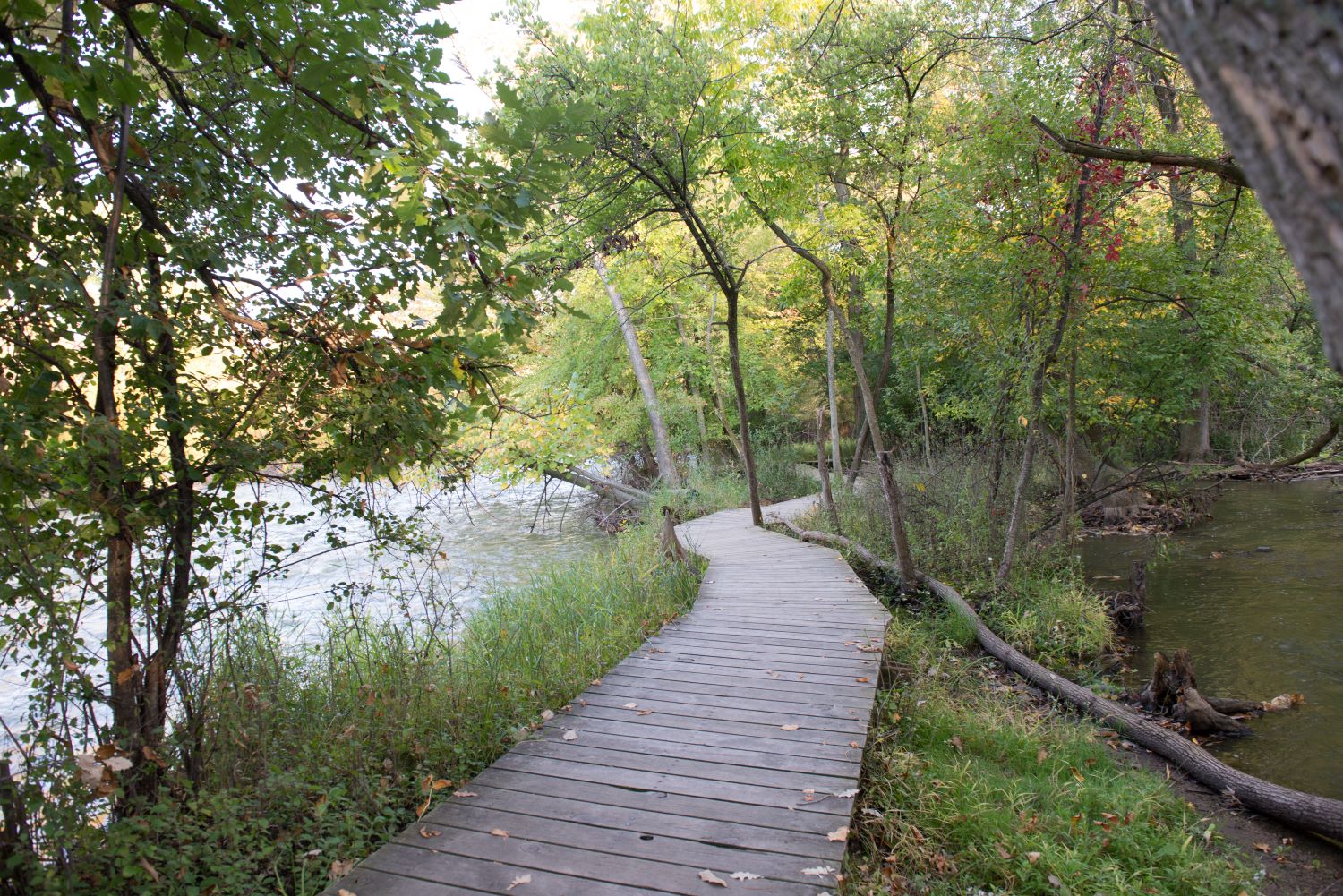 1000 Islands Trail