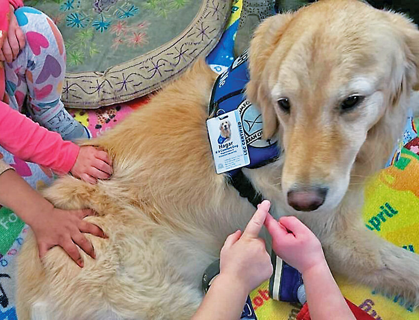 Hagar Comfort Dog shares God’s love in times of joy and times of sadness