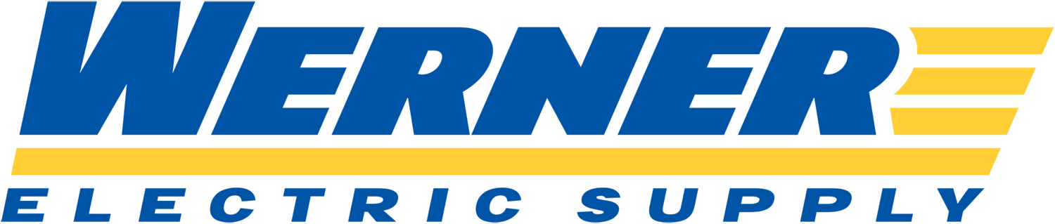 Werner Electric logo