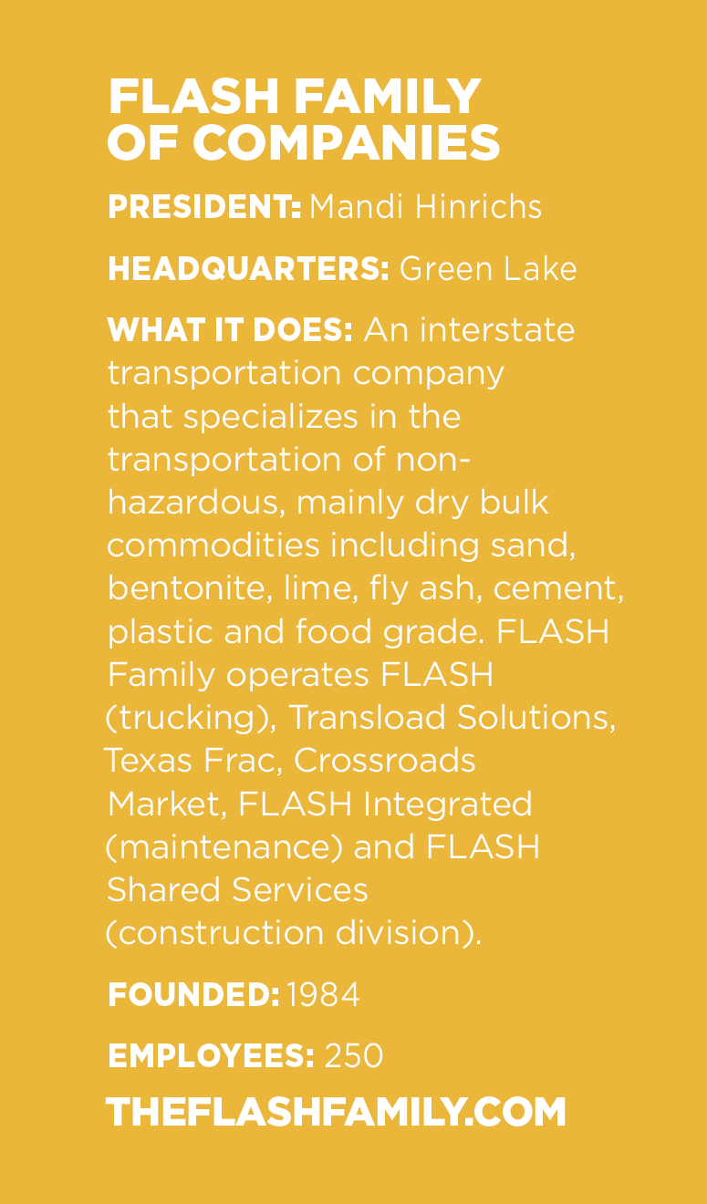 COVER_Flash_28 infobox.png