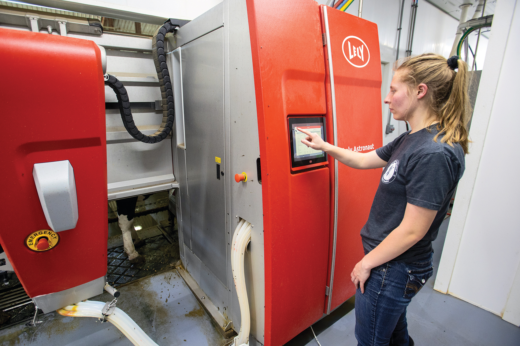 UW-Madison graduate student Erin Kammann works with the milking robots at Pioneer Farm at UW-Platteville. She is developing ways to personalize nutrition for dairy cows.