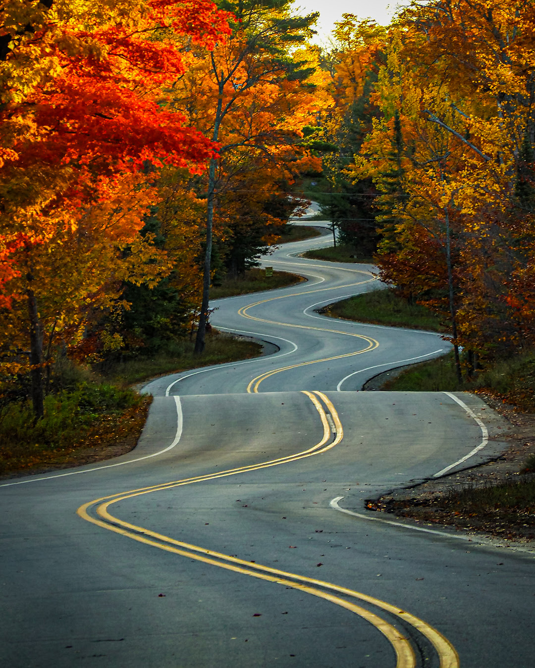 Sue Mangan took a the Scenic America Photo Contest Best in Show photo titled 