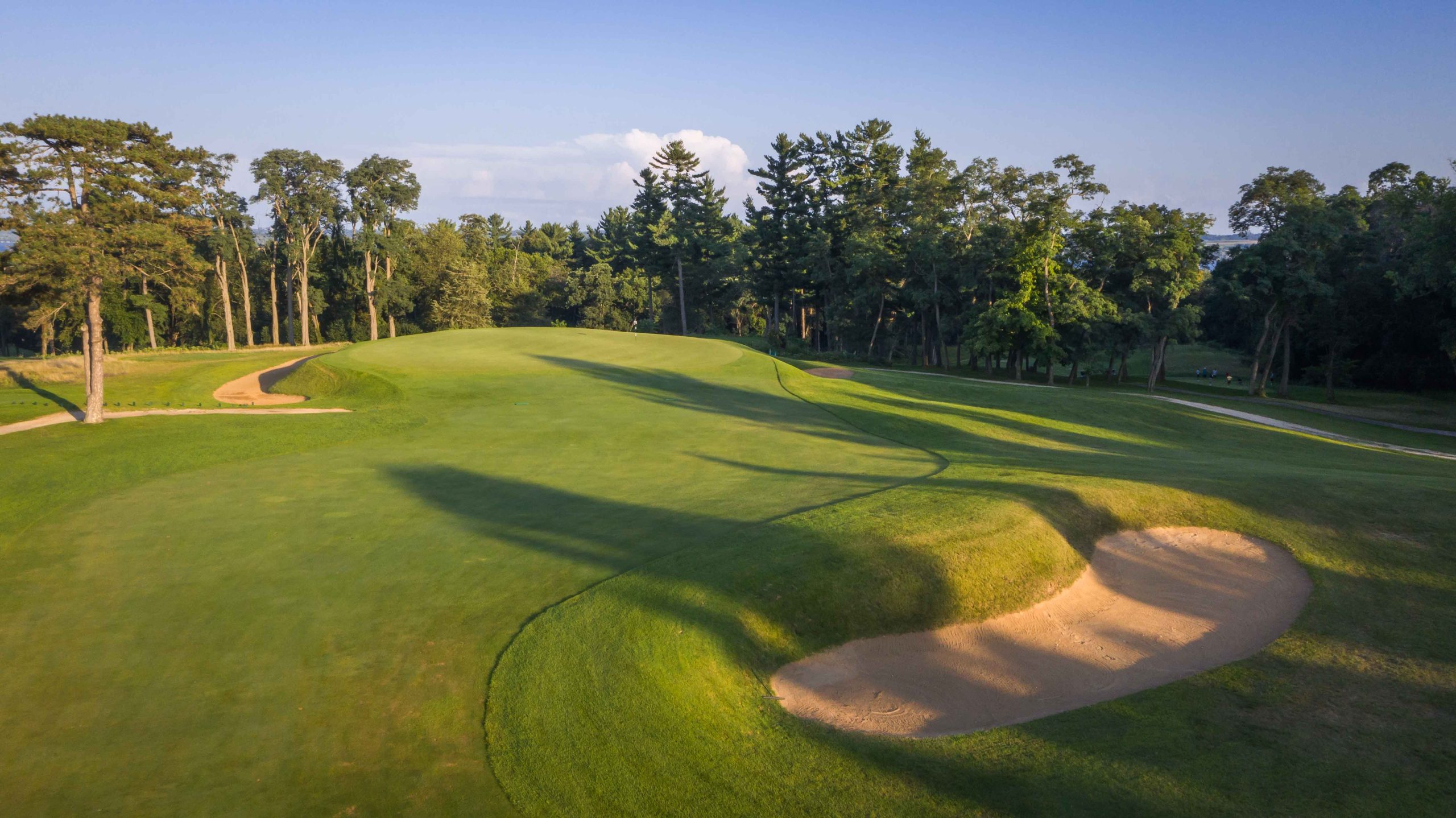Lawsonia No. 10
