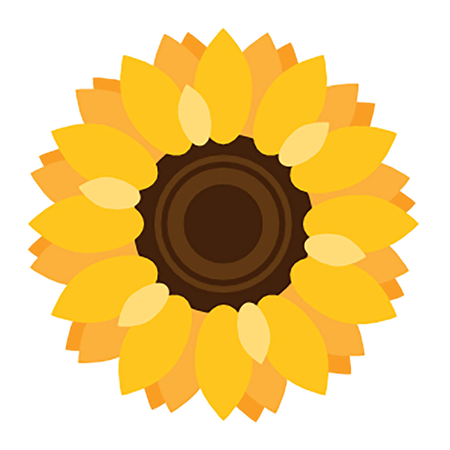 Sunflower Network