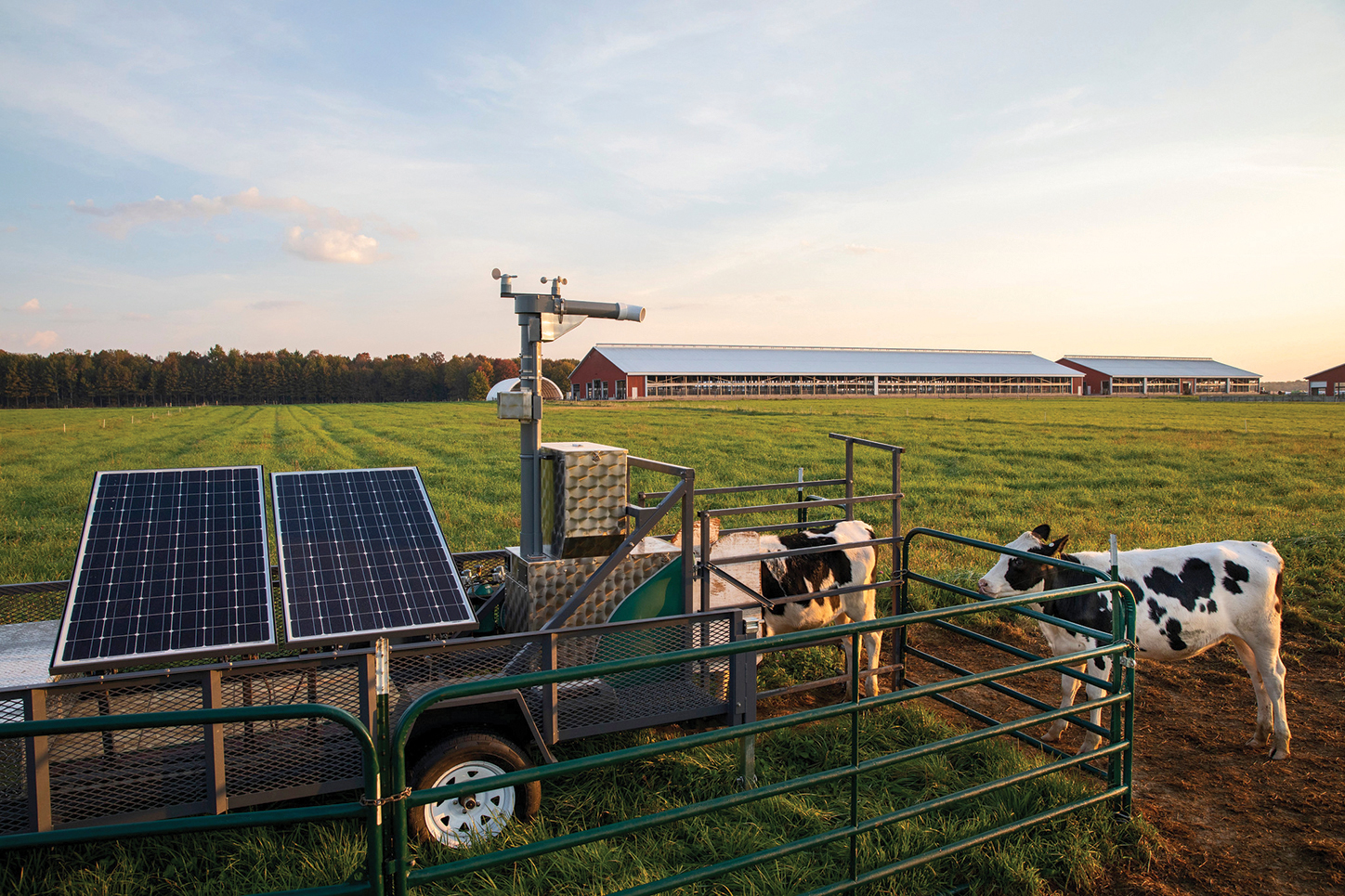 This solar-powered GreenFeed unit measures methane emissions in a heifer’s breath.