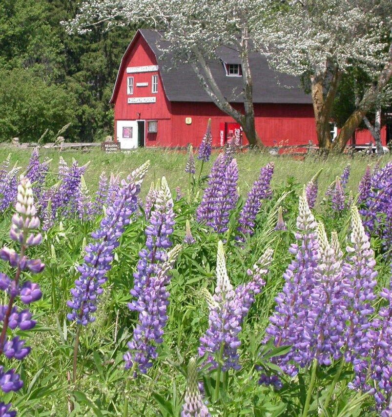 Brillion Nature Center