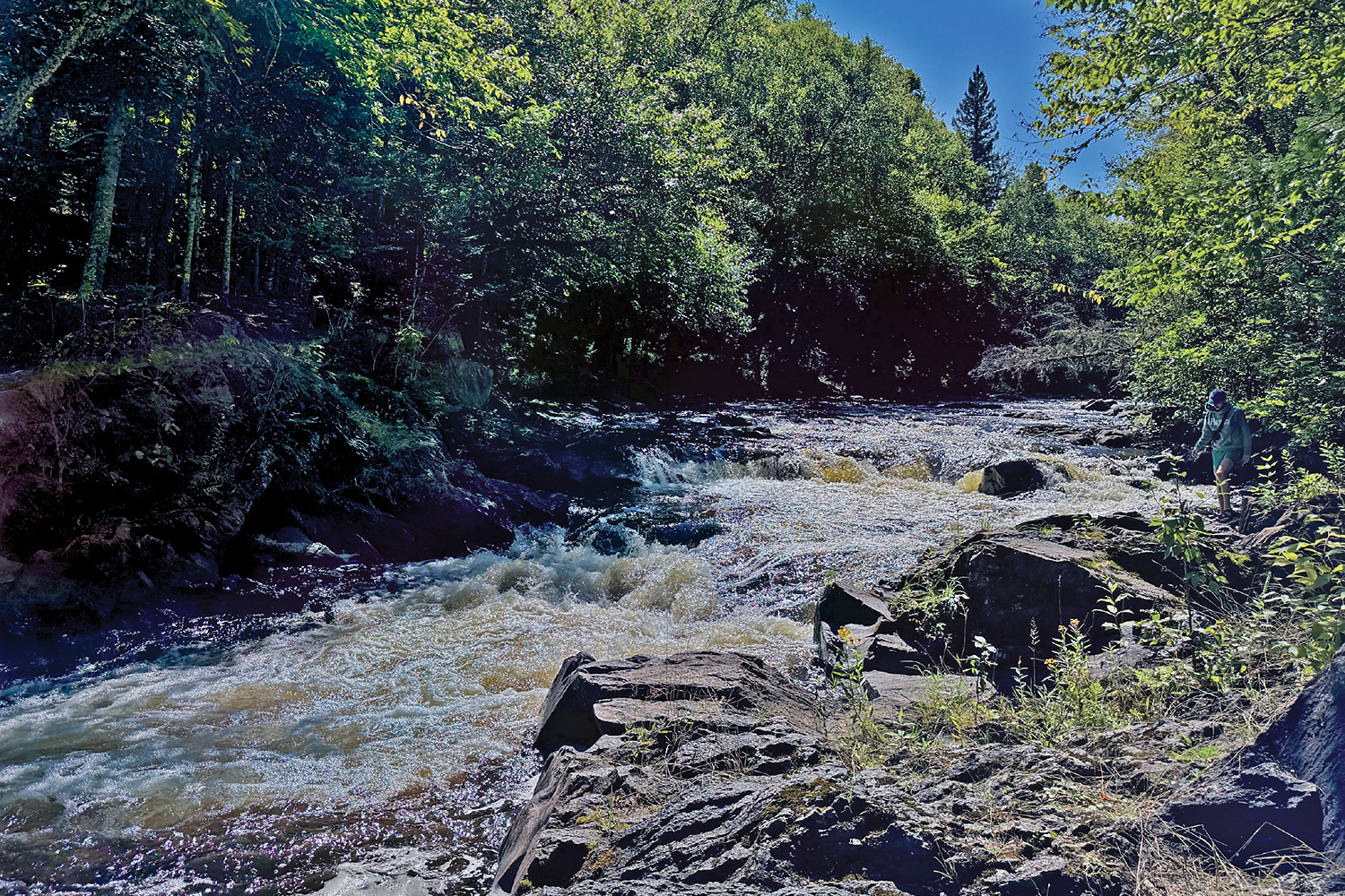 Florence County waterfall