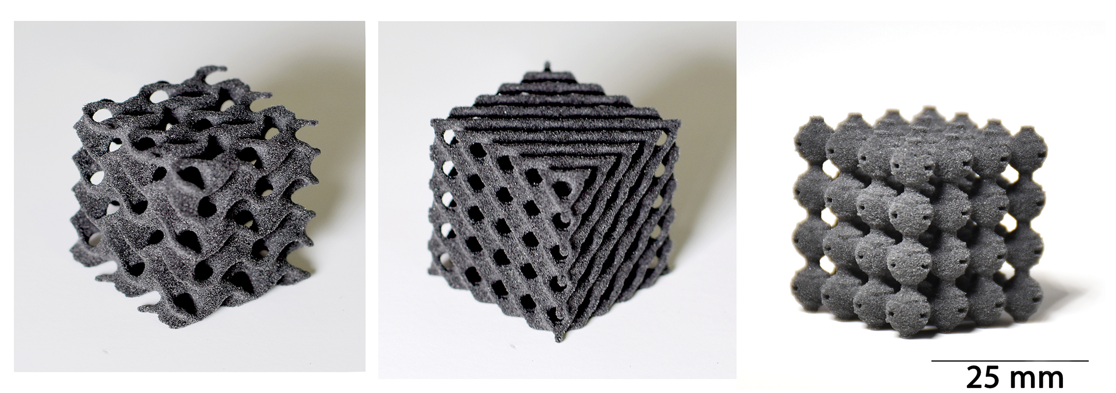 PLANT_Combined_lattice.jpg