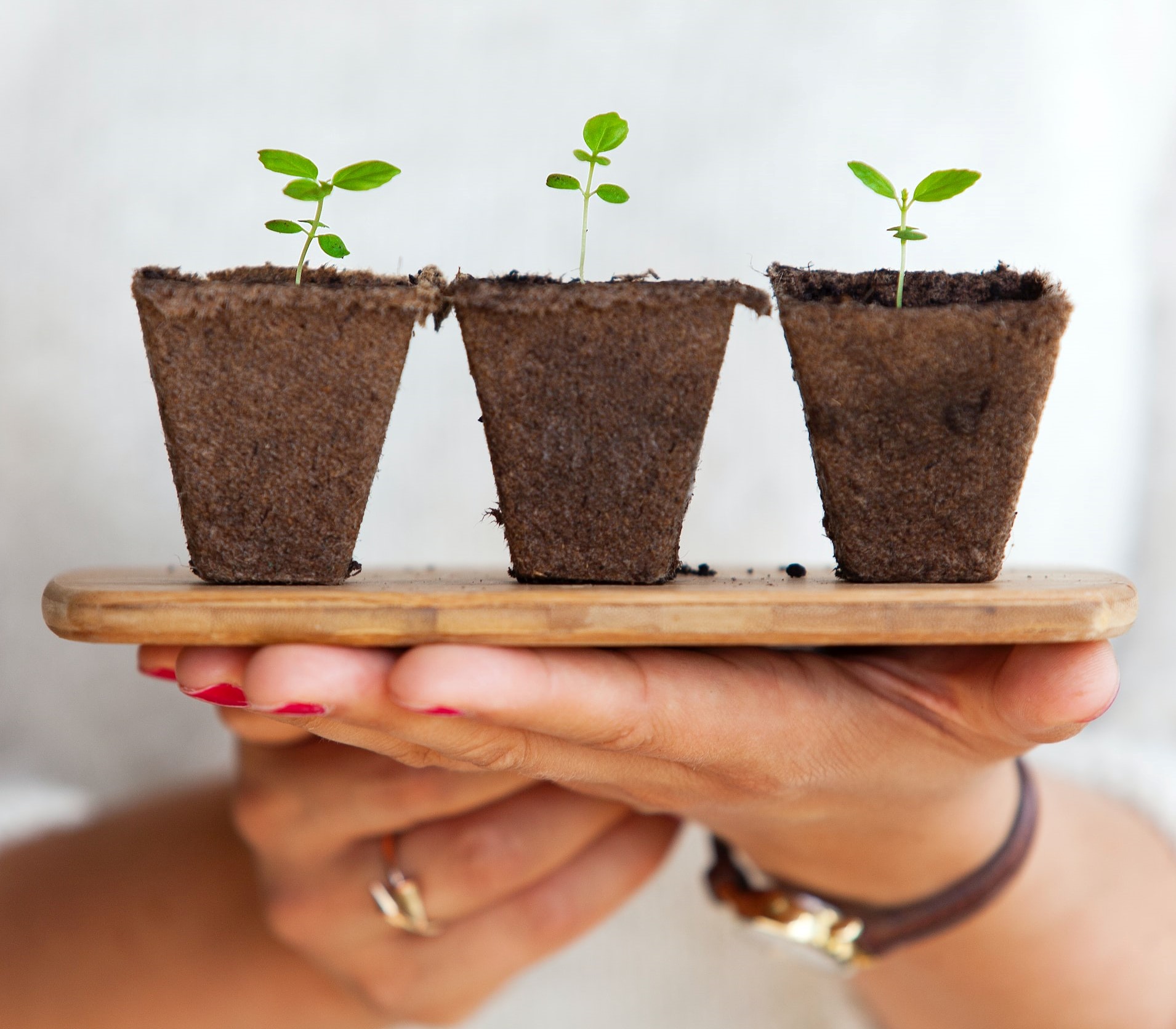 Sustainability