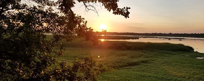Collins Marsh