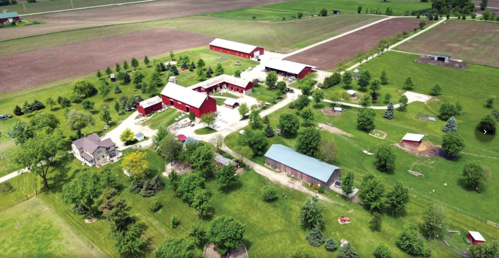 SM BIZ_Mulberry Farm_IMG_4288.jpg