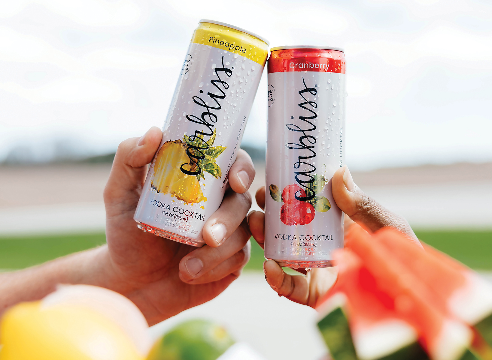 Carbliss works with a California-based flavor house to develop new flavors using fruit extract blends exclusive to the company.