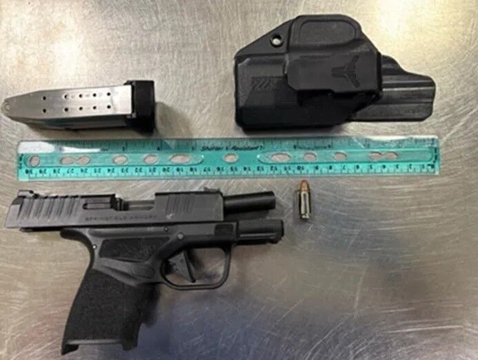 TSA guns