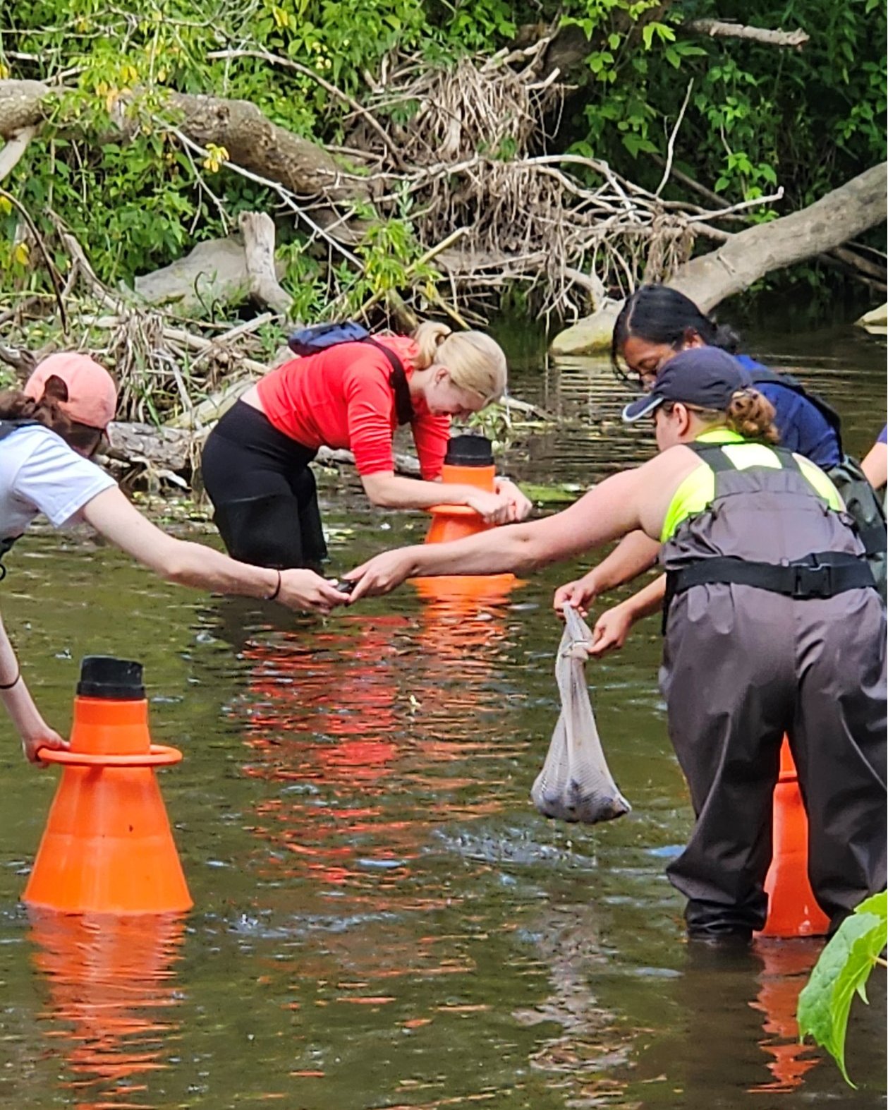 Freshwater Collaboration