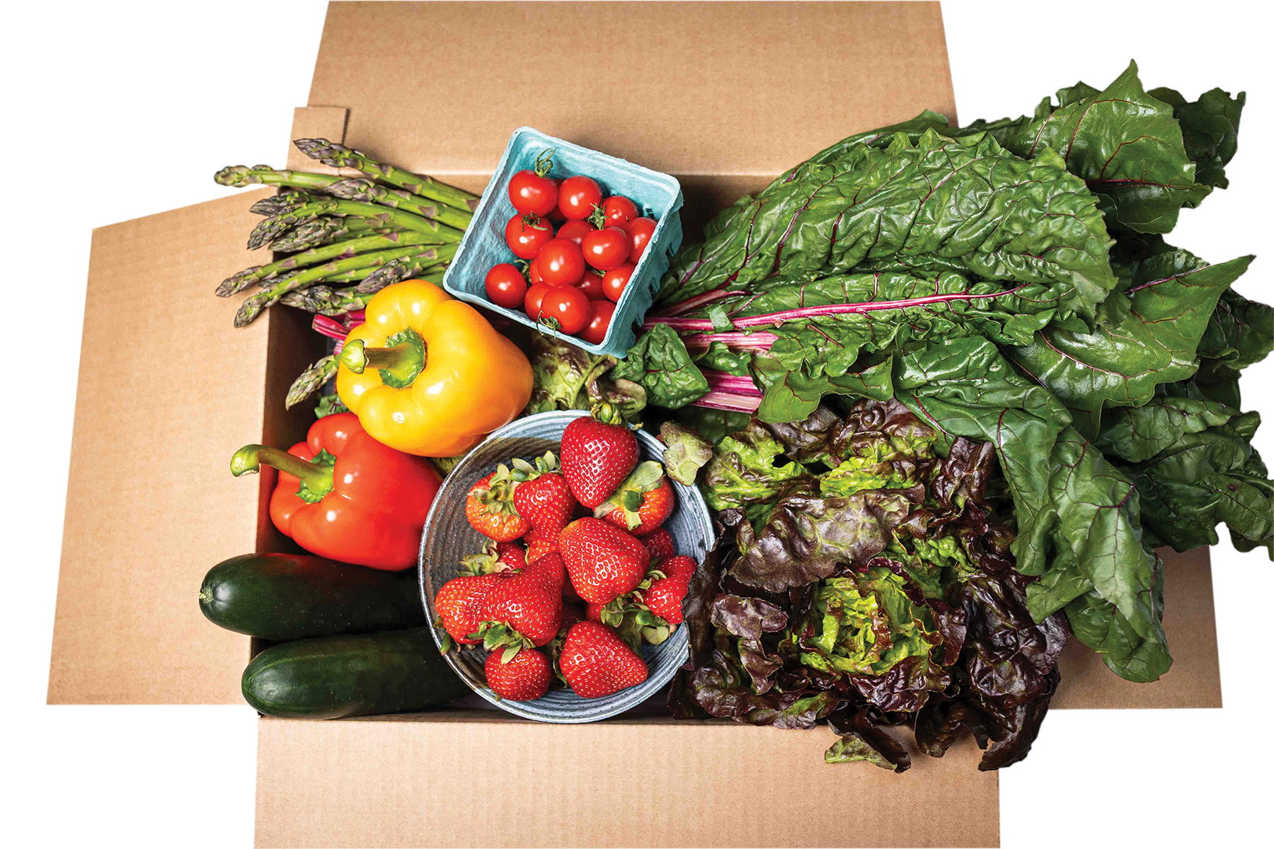 NN_Tend Table-20 fresh food.png