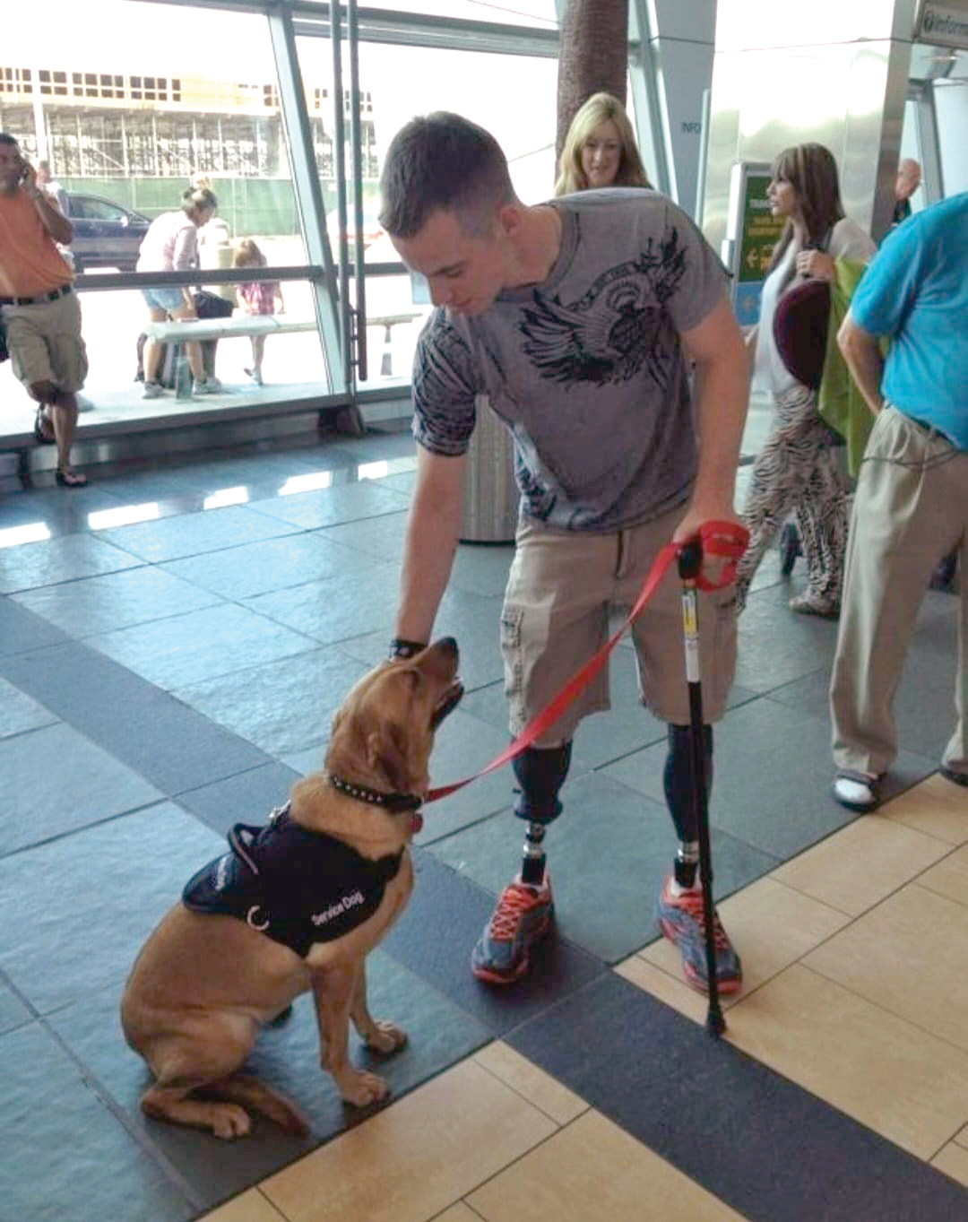Former Marine Chris Van Etten and his dog, Harley, inspired Torre Willadsen to start Dogs2DogTags.