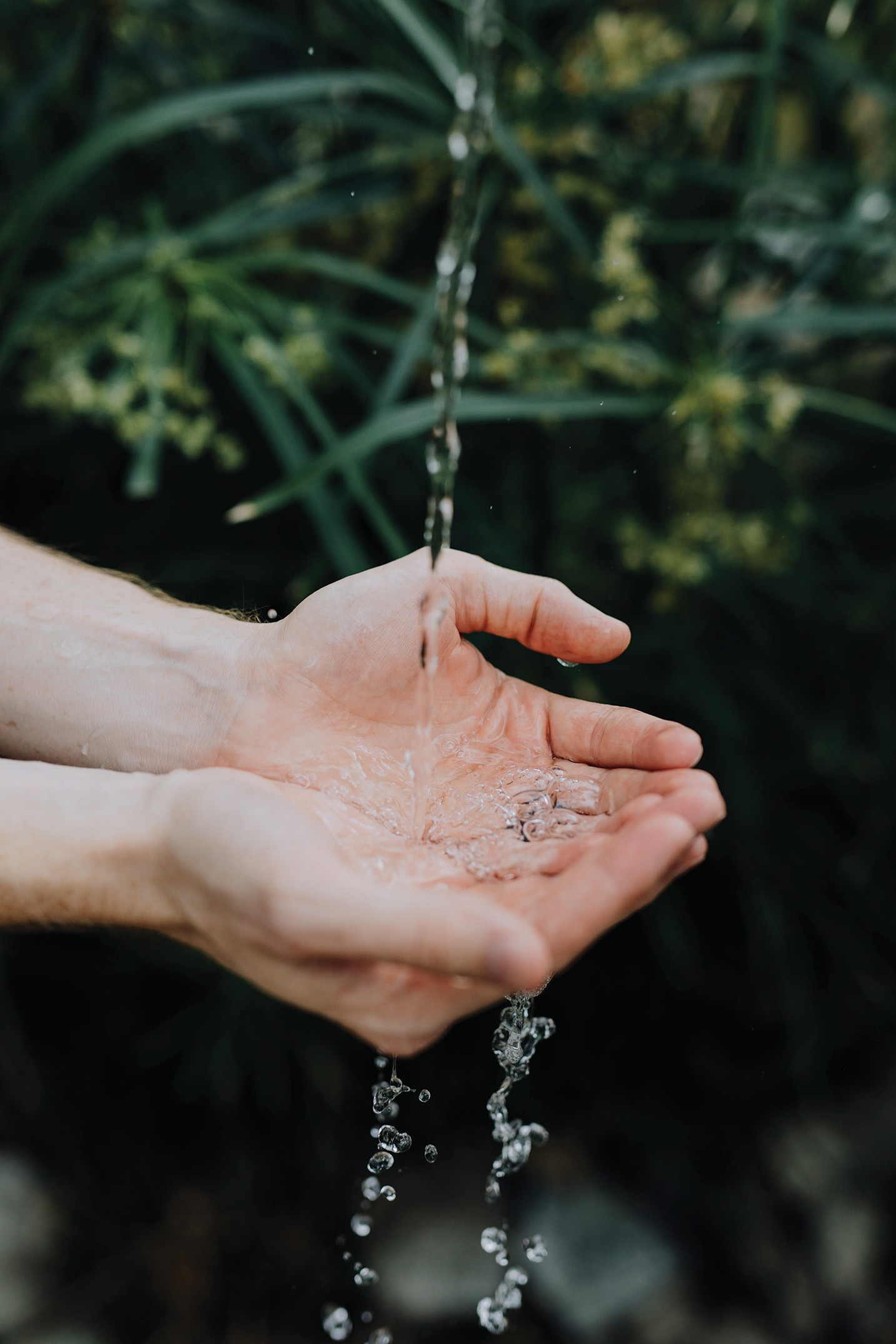 SUSTAIN_hands catching water.jpg