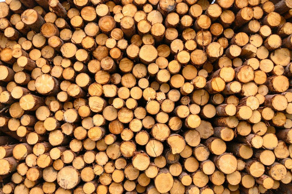 Forestry Products - Stock Image