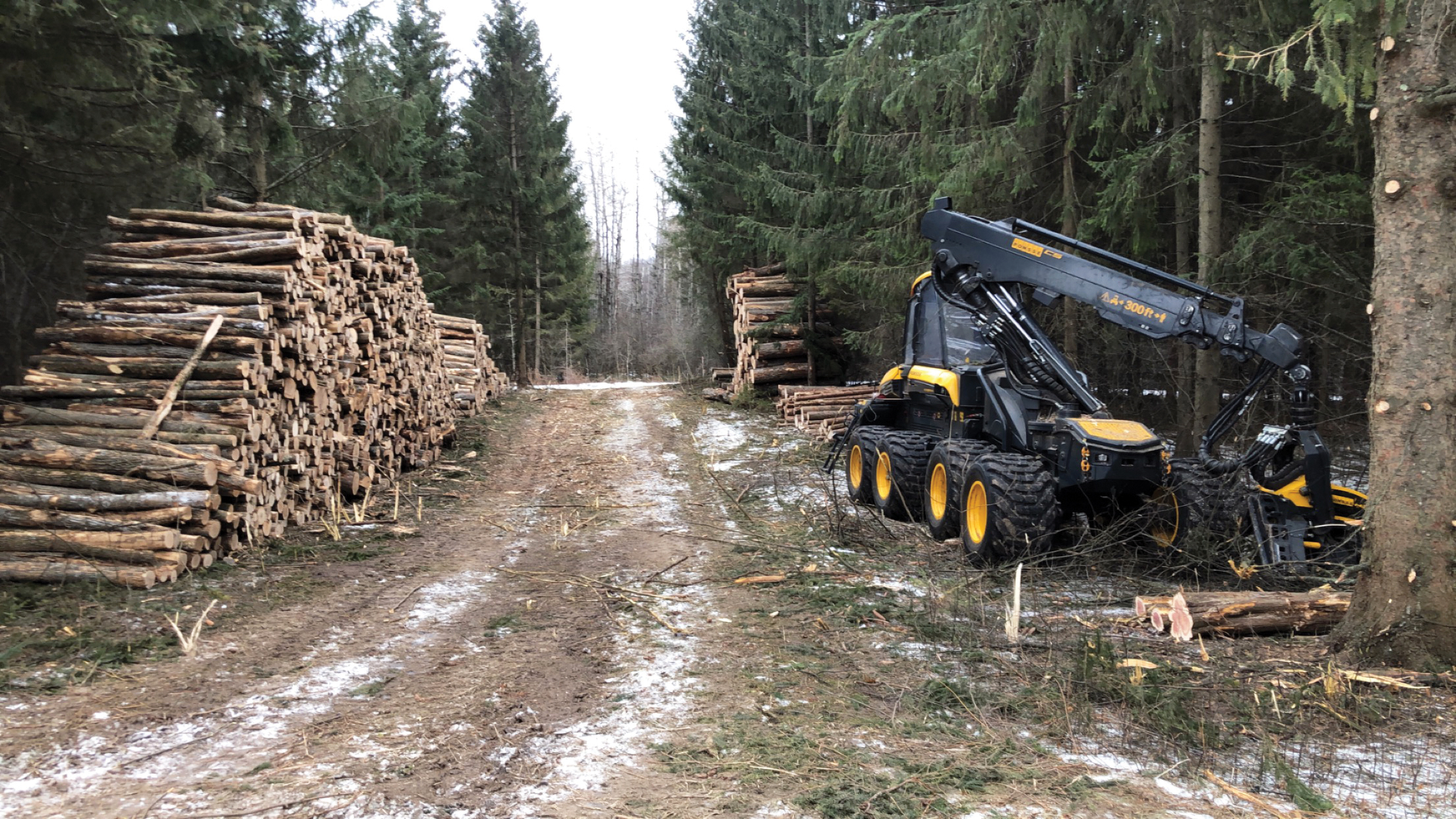 Loggers with Koerner Forest Products bring wood to the landing, which is the staging area for trucks to pick up logs for transport to the sawmill or paper mill. Operations Manager Scott Koerner says that, with fewer mills than ever, the process has become particularly challenging.