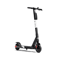 Bird Scooter Cutout