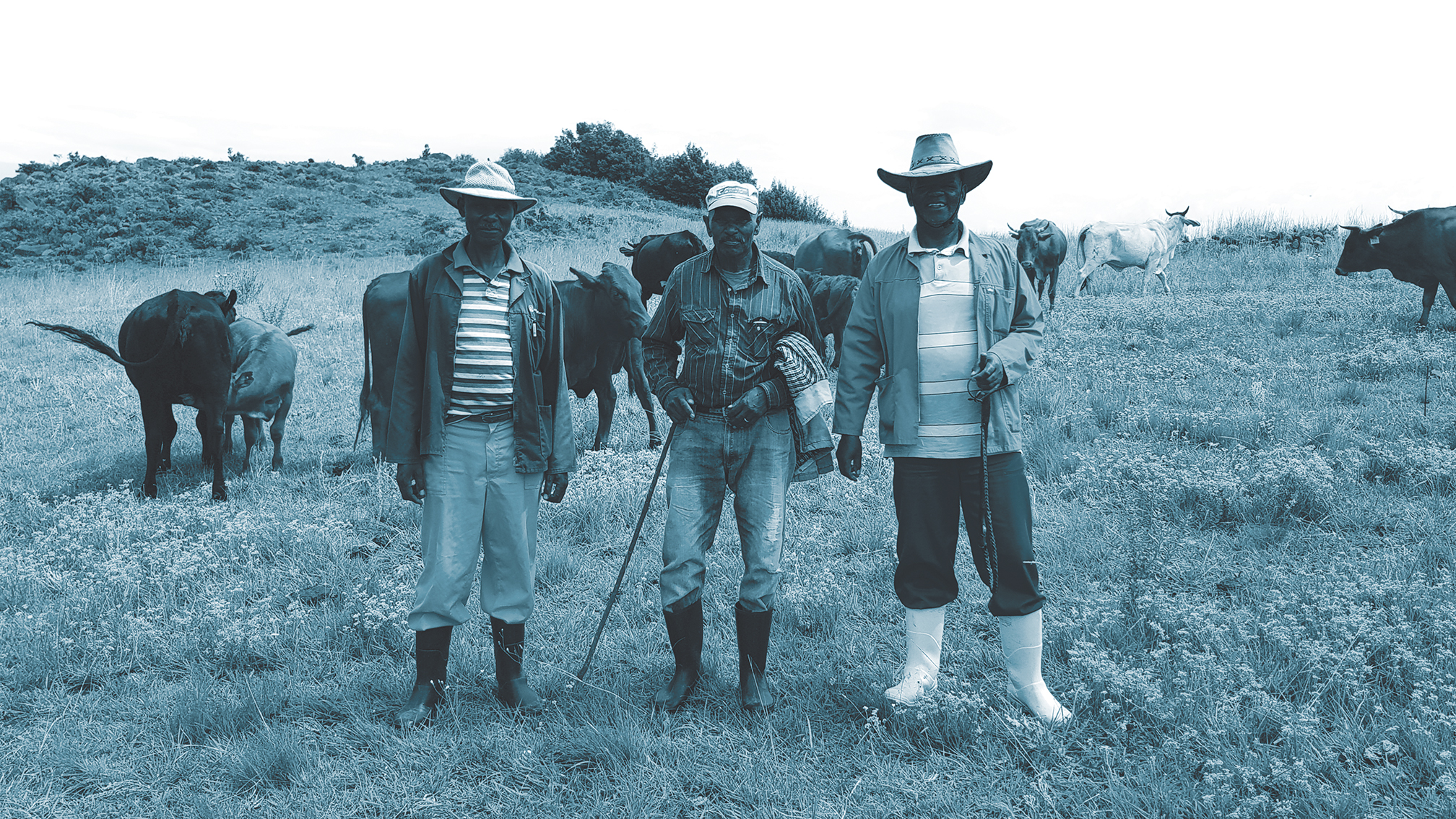 GENEX has been building agricultural cooperative businesses in South Africa since 2010.