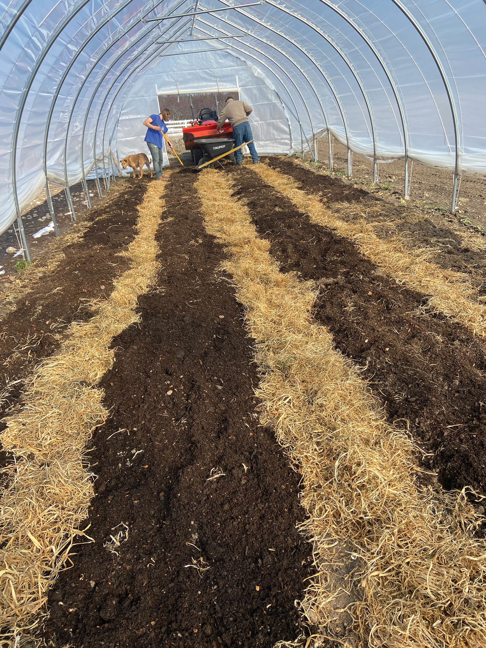 MW hoop house_4C.jpg
