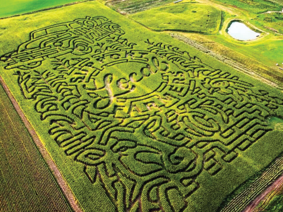 SM Biz_Petals and Plows_maze.jpg