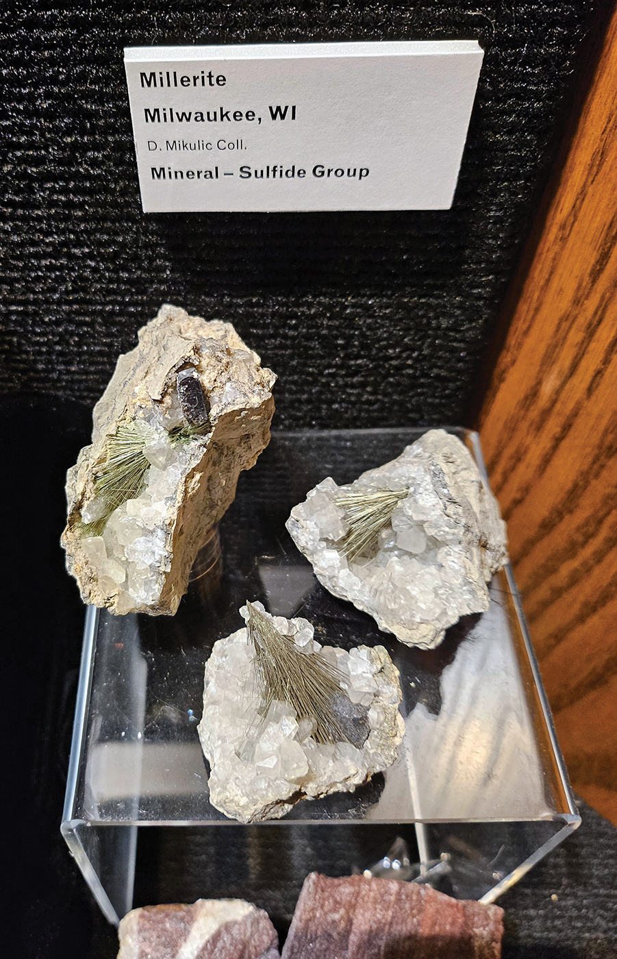 Weis Earth Science Museum display