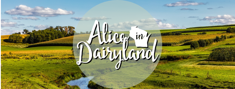 Alice in Dairyland