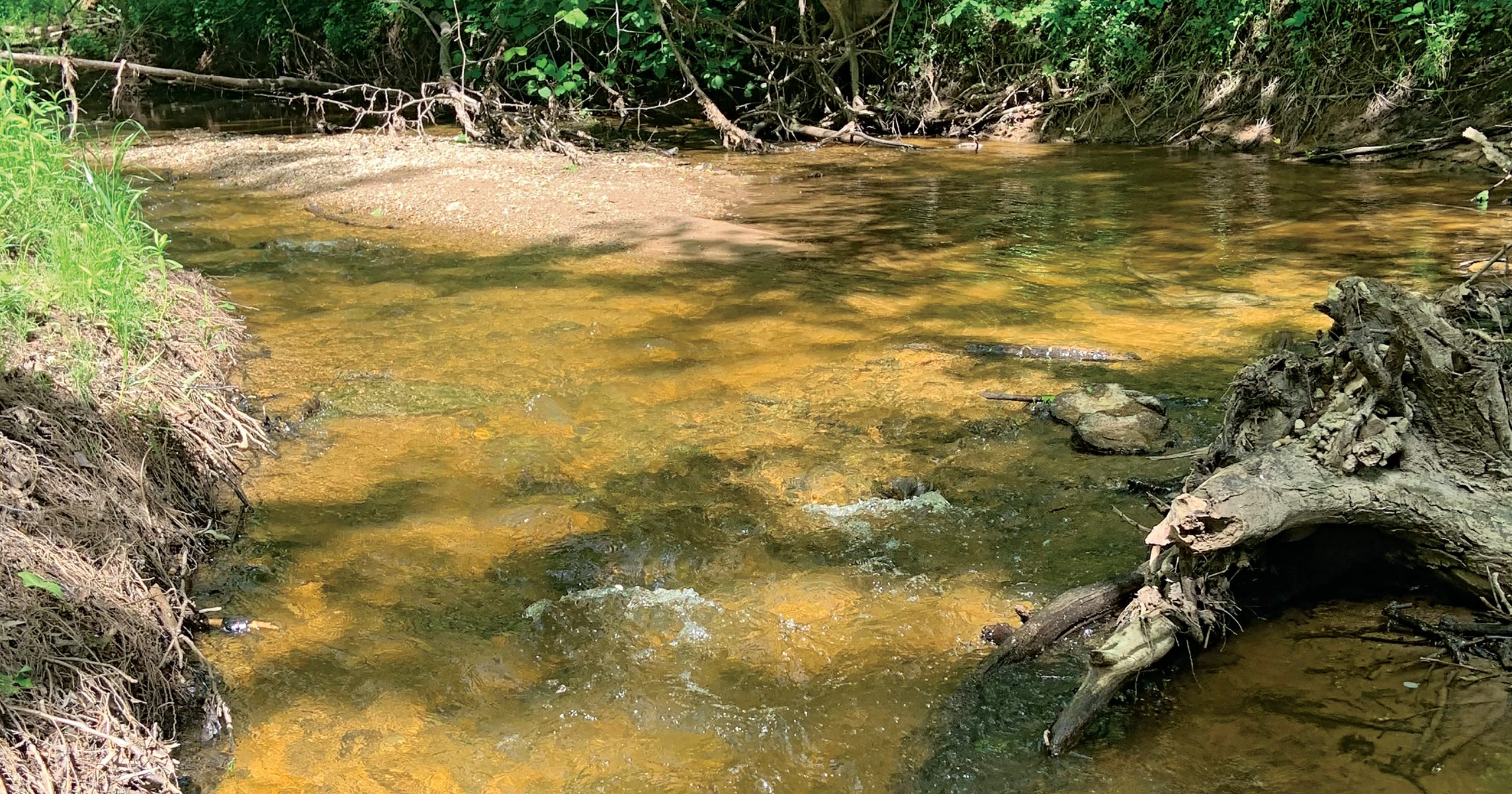 The Oneida Nation led efforts to restore Trout Creek, a former trout fishing stream that had become degraded. The project included installing a safer manure pit and adding buffers and meanders to slow runoff.