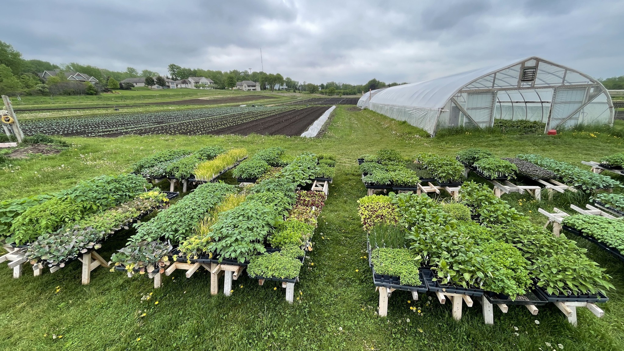 Park Ridge Organics in Fond du Lac is one of two New North farms to receive a DATCP Buy Local, Buy Wisconsin grant