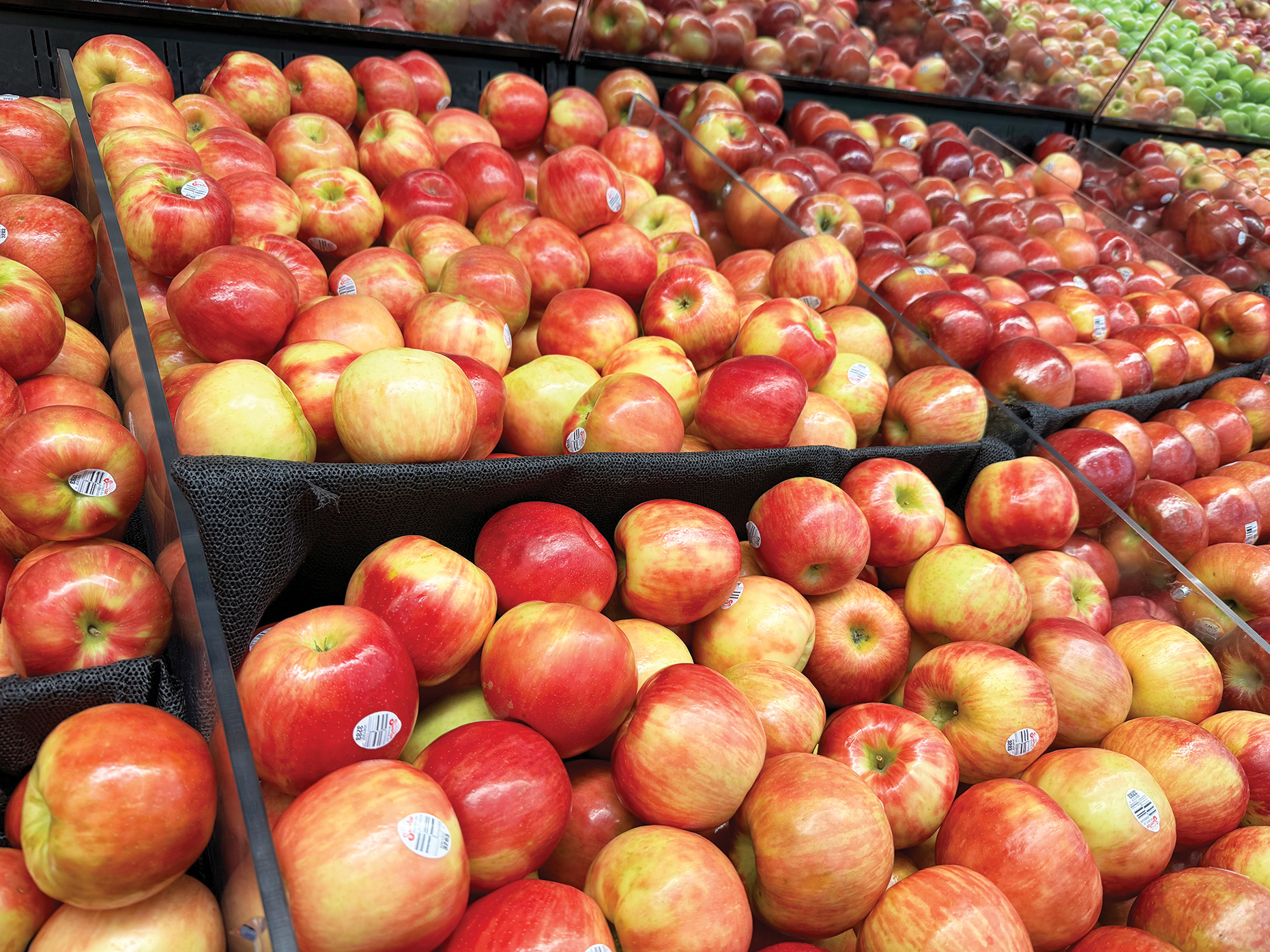 INSIDER_apples-festival-neenah.jpg
