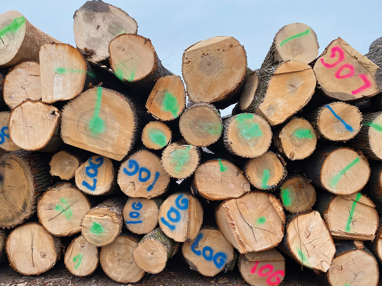 Urban Evolutions’ urban wood program has saved 912 tons of wood from the waste stream.