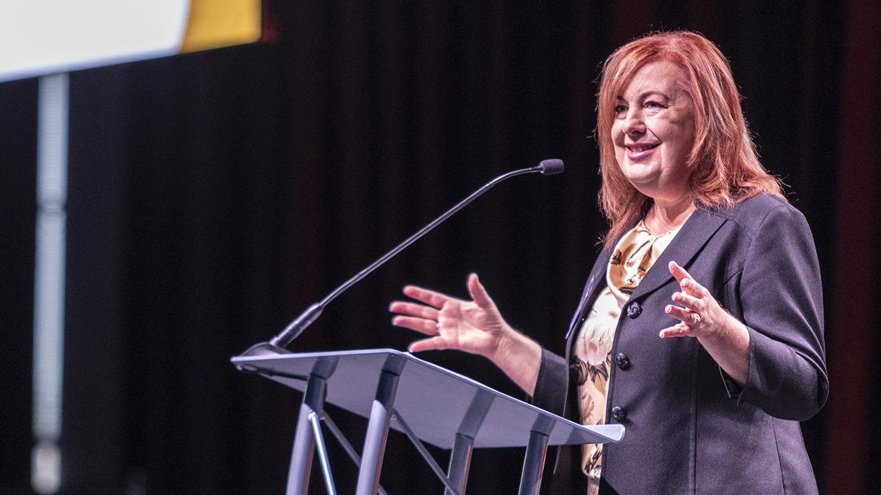 Ann Franz has led the NEW Manufacturing Alliance for 20 years.