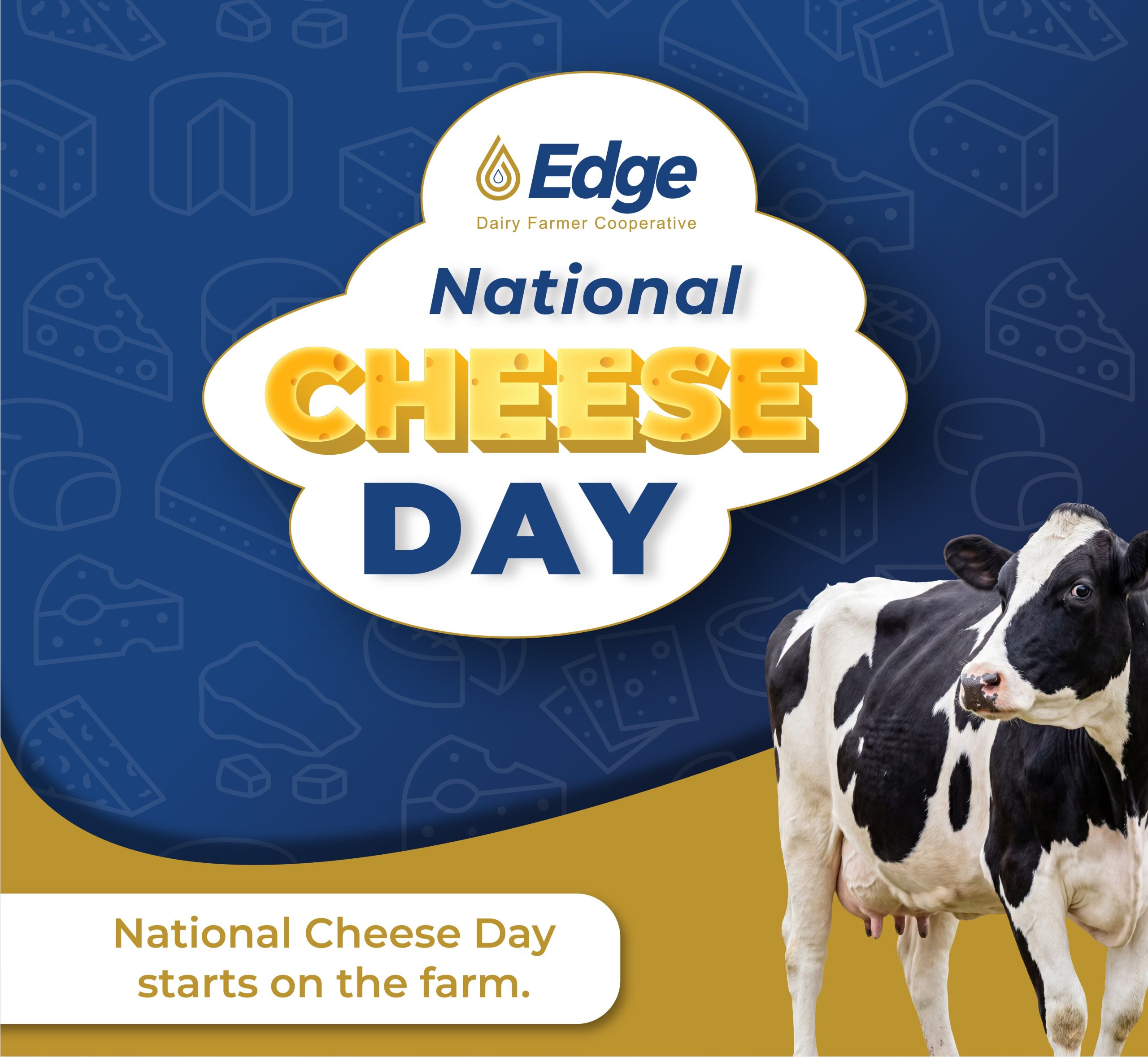 National Cheese Day June 4 2026