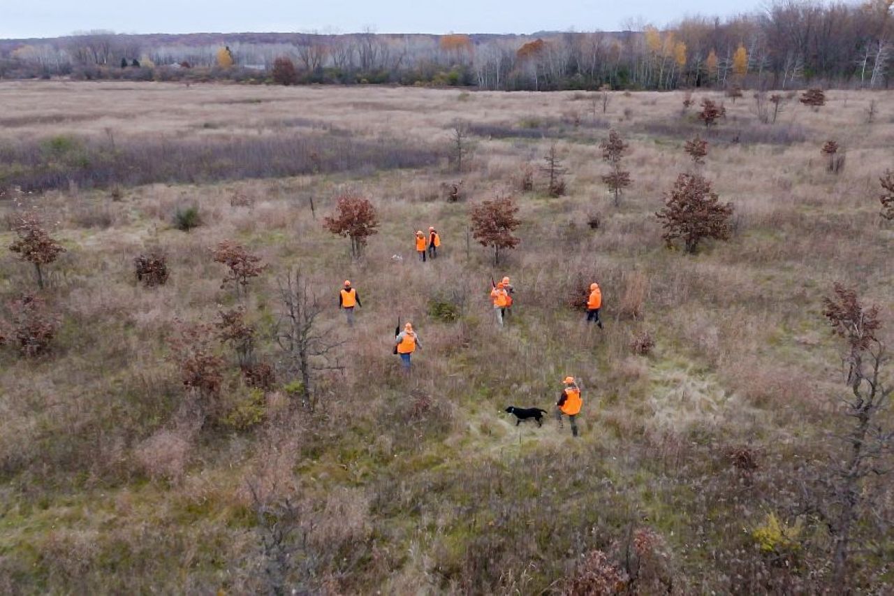 Pheasant hunters in field (Wisconsin DNR)